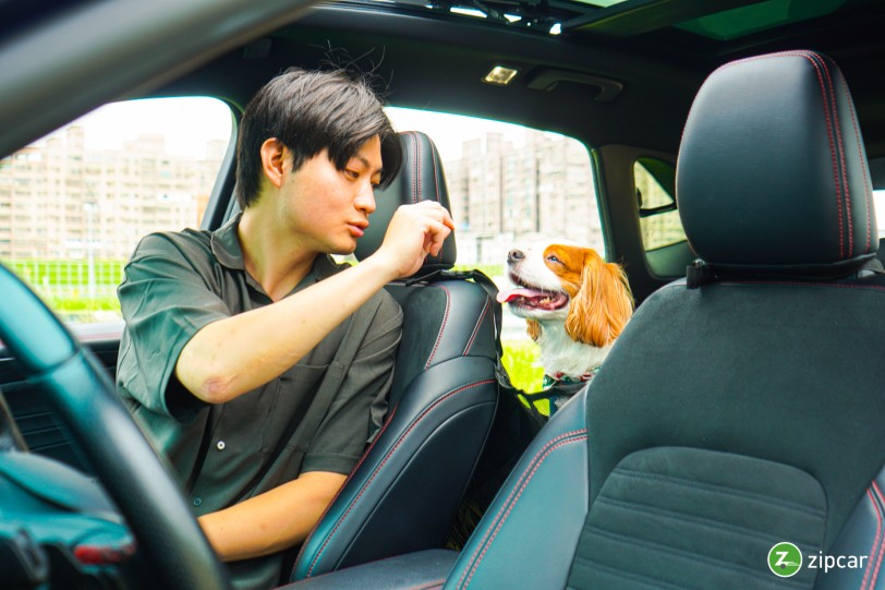 Zipcar 推出全台唯一共享汽車寵物友善方案  隨車附贈臭味滾ODOUT清潔包  帶毛孩出遊好輕鬆